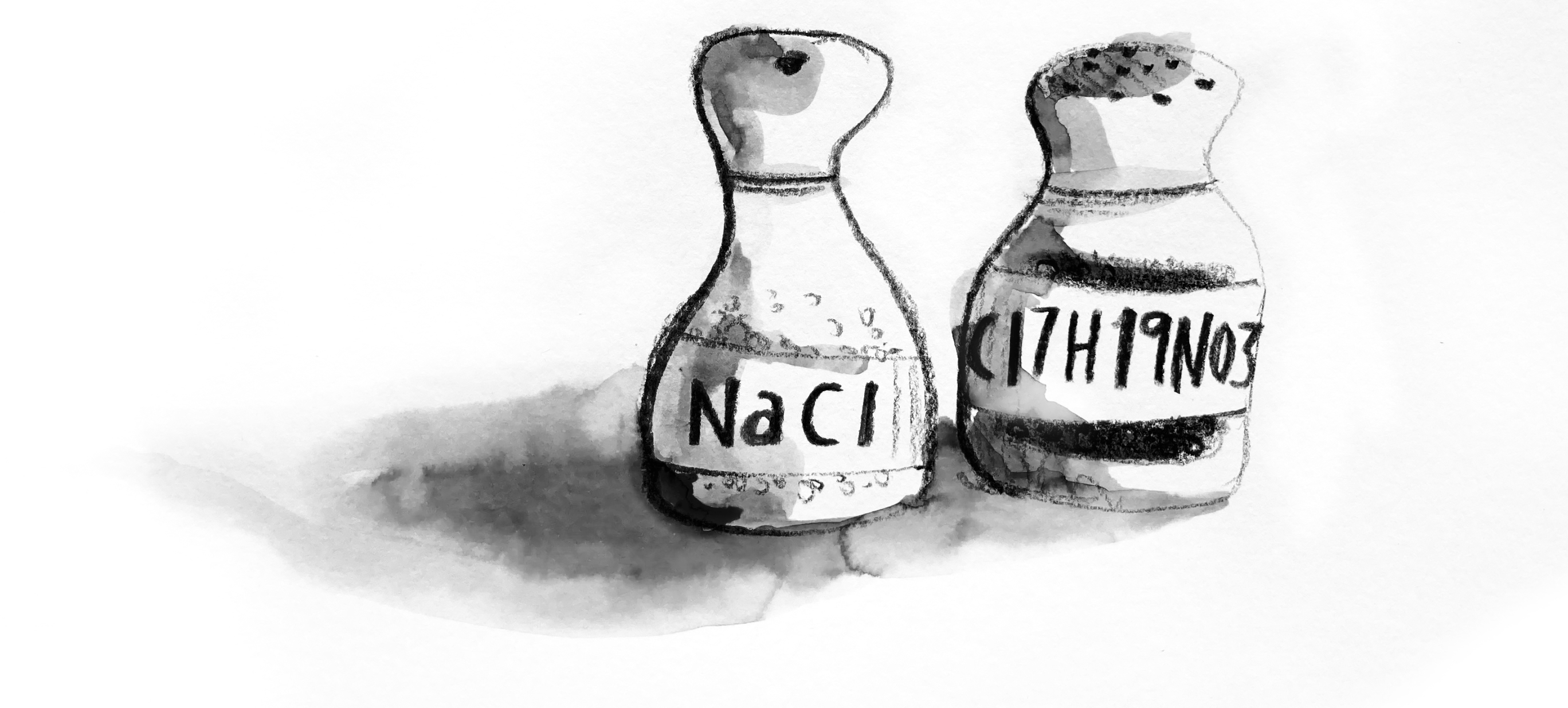 Illustration of a salt and pepper shaker with the chemical names on the shakers.