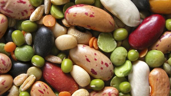 Close-up of colorful beans.