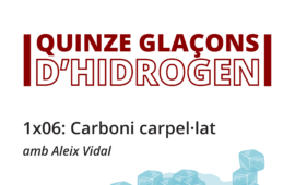 Quinze glaçons 6: Carboni carpel·lat