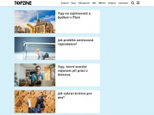 Topzine