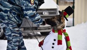 Уральские кинологи продемонстрировали тренировки своих подопечных