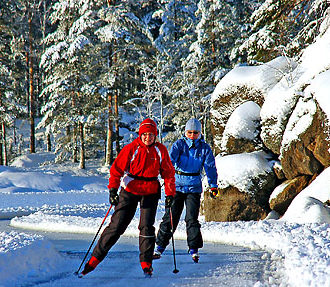 Finnish forestry industry, recreational use, conservation, Forest Act, certification, Finland