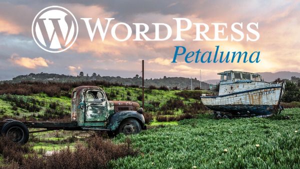 WordPress Petaluma