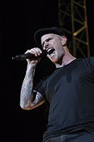 DropkickMurphys Dig fenway26.jpg