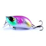 Baits & Lures