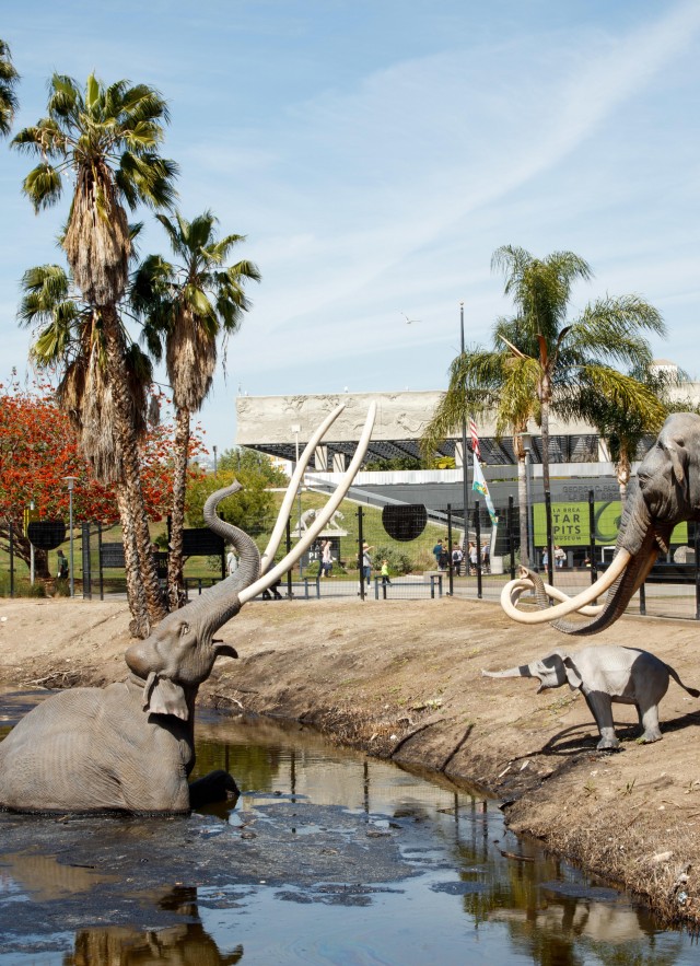 lake pit museum in background la brea tar pits