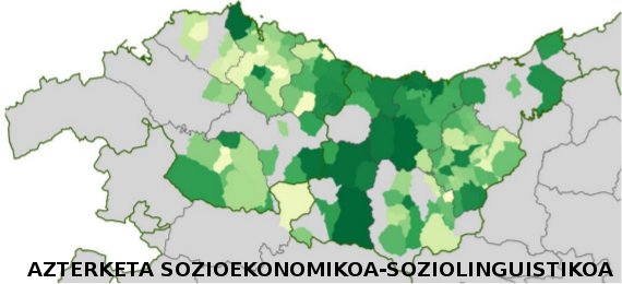 Azterketa sozioekonomiko eta linguistikoak