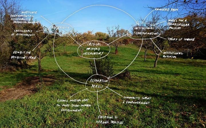 Foto der ZKM-Streuobstwiese, darübergelegt eine Mindmap in weißer Handschrift, in der Mitte steht "Critical Orchard Observatory"