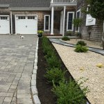 paver driveway and puppy