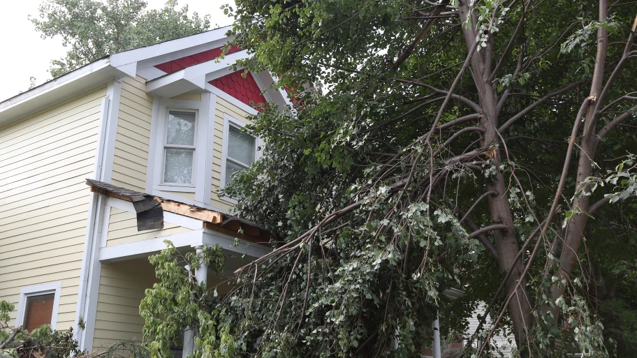 tree storm damage on home