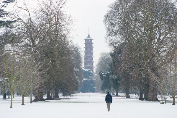 The best green spaces in the city