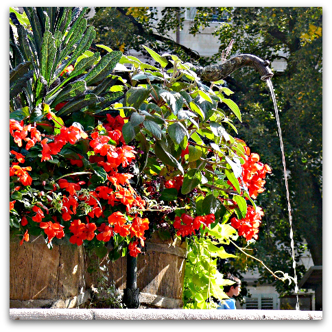 Geneva, fountains and flowers