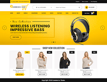 Ecommerce WordPress Theme