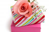 Gift boxes and pink rose.