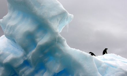 Op zoek naar algen in het zee-ijs van Antarctica