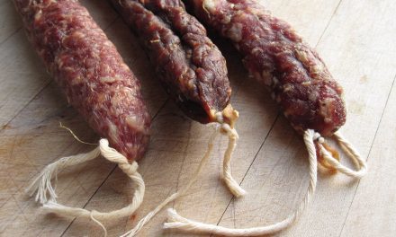 Healthier salami? Think Coagulase-negative staphylococci!