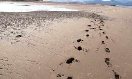 Top footprints in the Higgs field