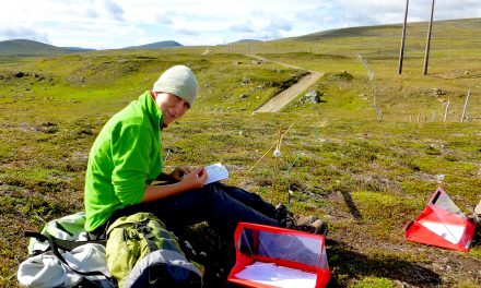 Biologist in focus: reindeer research in the arctic tundra