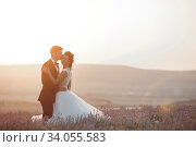 Wedding couple in a lavender field at sunset, bride and groom. Стоковое фото, фотограф Юрий Голяк / Фотобанк Лори