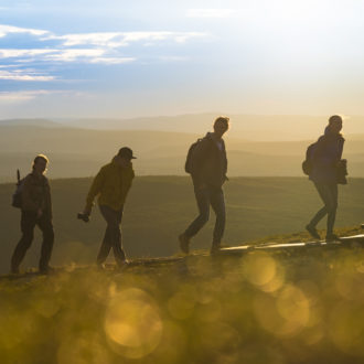 Four hikers climbing up wooden stairs to reach a summit.