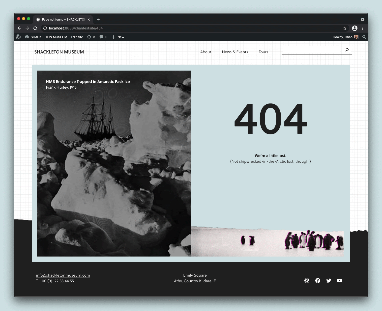 Image showing a customized 404 page with an arctic theme with penguins, a shipwreck, and an iceberg. 