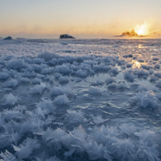 Geometric ice crystals poke up from the ice-covered sea that stretches to a sunset on the horizon.