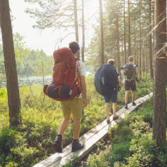 Three hikers with backpacks walk along a forest path next to a body of water.