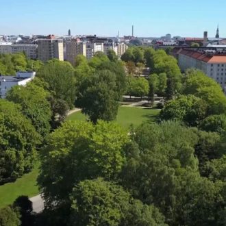 A green park in the middle of high-rise buildings.