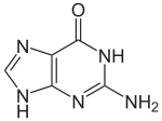 Guanin.svg