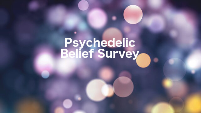 beliefsurvey-img3.jpg