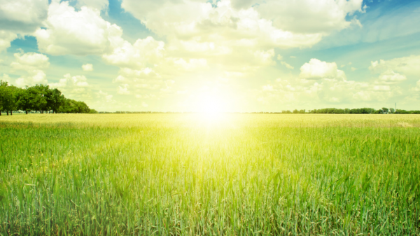 Sunrise above a green field with scattered clouds in a blue sky sky.