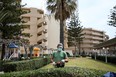 A gardener wearing a protective face mask trims a fence at the Sun Beach Resort, amid the coronavirus disease (COVID-19) pandemic, on the island of Rhodes, Greece, April 14, 2021.