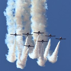 Snowbirds