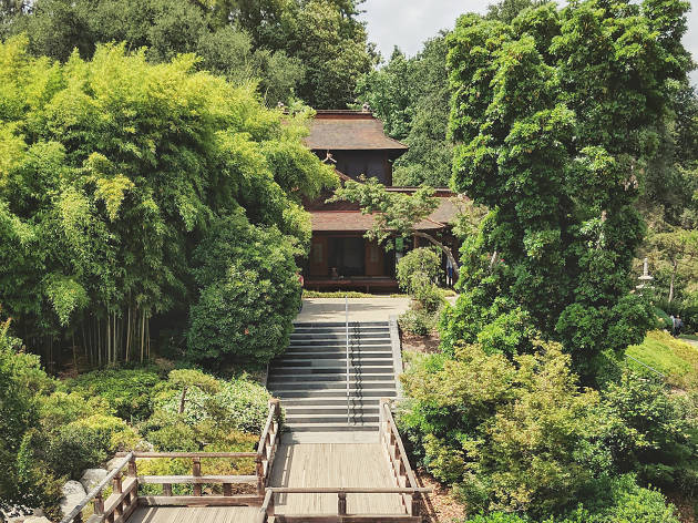 Huntington Library, Art Collections & Botanical Gardens