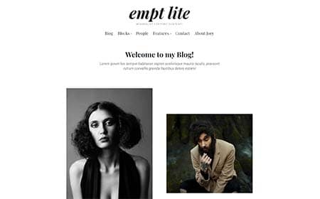 Empt Lite - a free WordPress theme