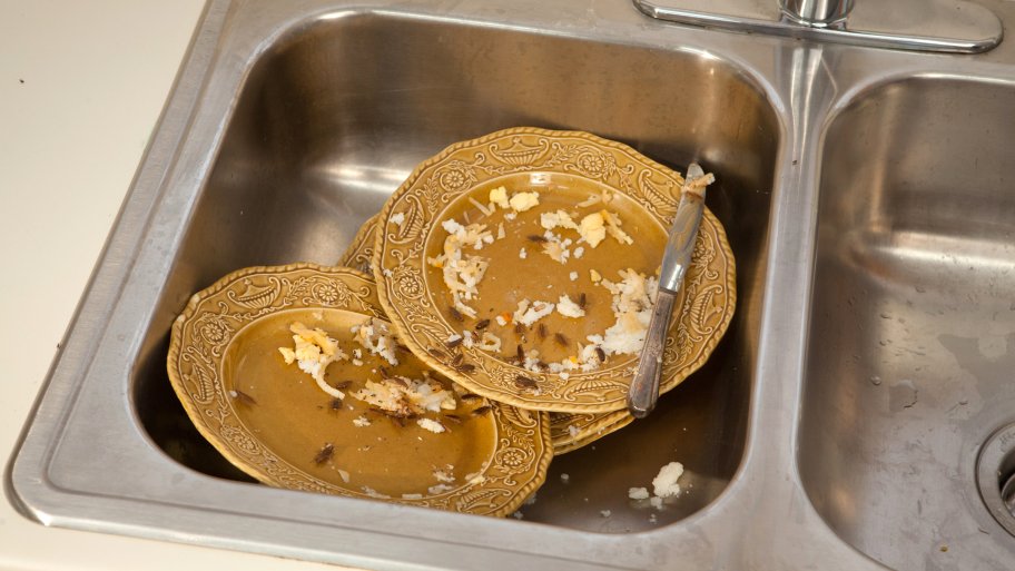 german cockroaches crawling in dirty sink