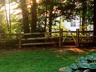 fence between yards