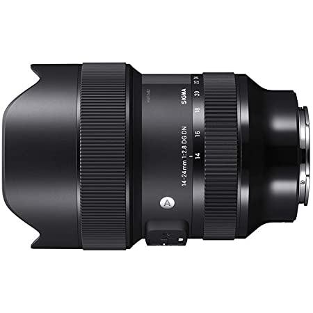 Sigma 213965 14-24mm F2.8 DG DN Art for Sony E Mount, Black