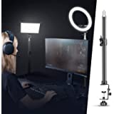 Neewer Tabletop Light Stand Clip Stand with 1/4inch Screw for Ring Light and LED Light, Aluminum Alloy, Adjustable 12.5-20.6 