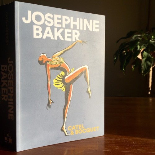 A victim of racism throughout her life, Josephine Baker would sing of love and liberty until the day she died
Josephine Baker
by Jose-Luis Bocquet, Catel Muller (Illustrator)
SelfMadeHero
2017, 496 pages, 6.7 x 2.0 x 9.4 inches, Paperback
$16 Buy on...