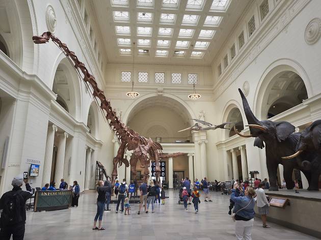 The 13 best Chicago museums