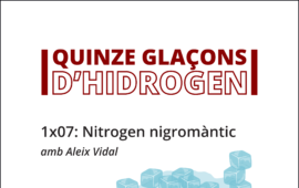 Quinze glaçons 7: Nitrogen nigromàntic