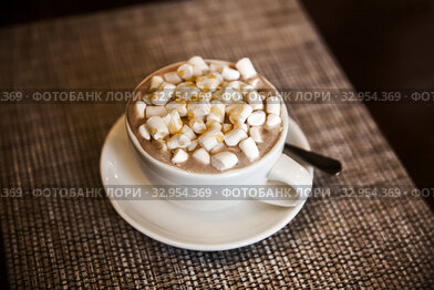 Cup of cocoa with marshmallows