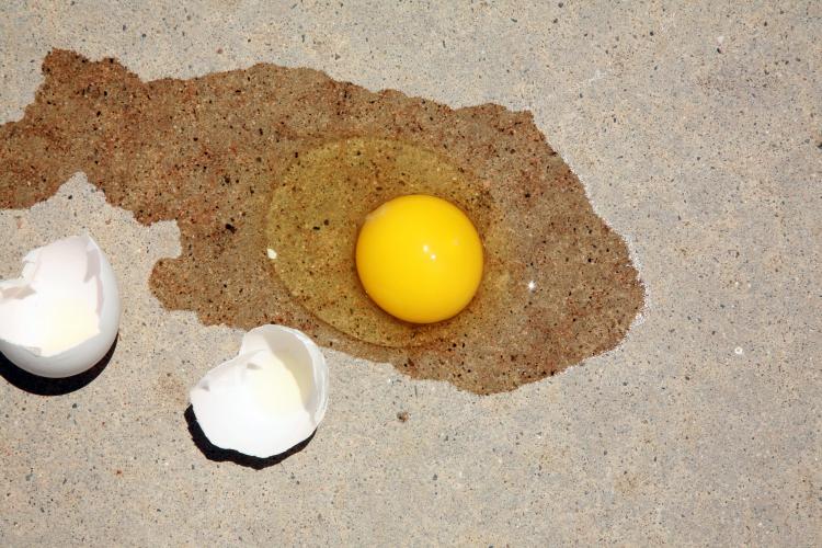 Summer sidewalk hot enough to fry an egg.