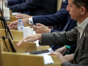 plenary meeting voting