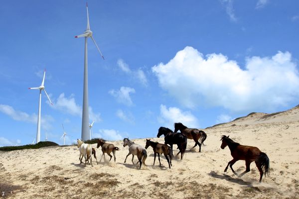 No More Room for the Little Guys in Latin America’s Clean Energy Market