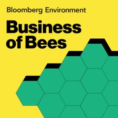 Business of Bees