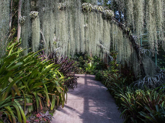 The best botanical gardens in the world