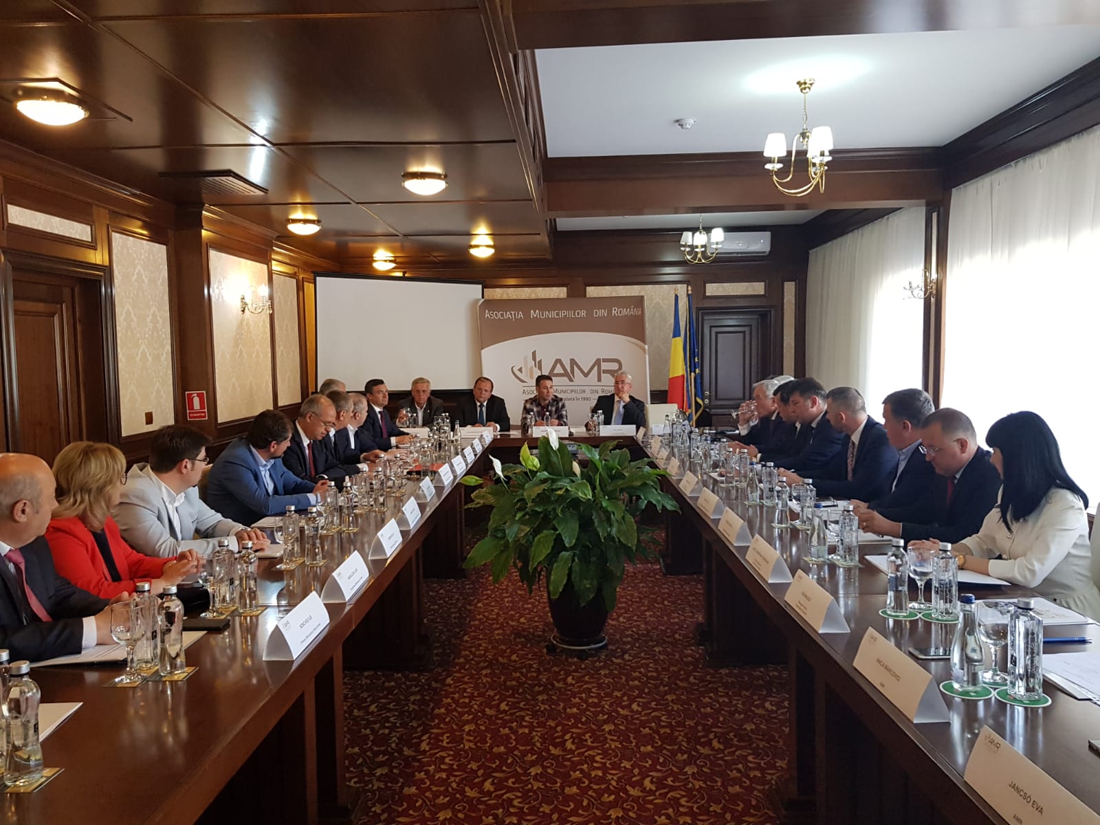 REUNIUNEA COMITETULUI DIRECTOR AL AMR – SUCEAVA