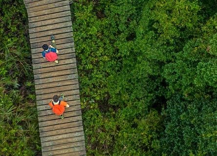 People walking on a bridge in the nature
